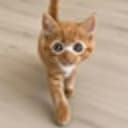 Pumpcat