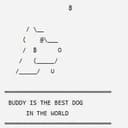 Buddy