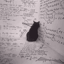 ThesisCat