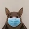 bat