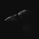 qcrow