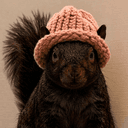 bnutwifhat