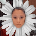 Petal