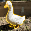 Donald D.