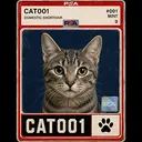cat-001