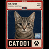 cat-001