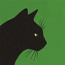 XCAT