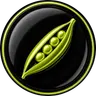 PEA
