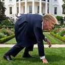 TRUMPOTHY