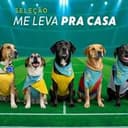WorldPups