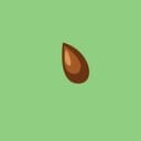 SEED