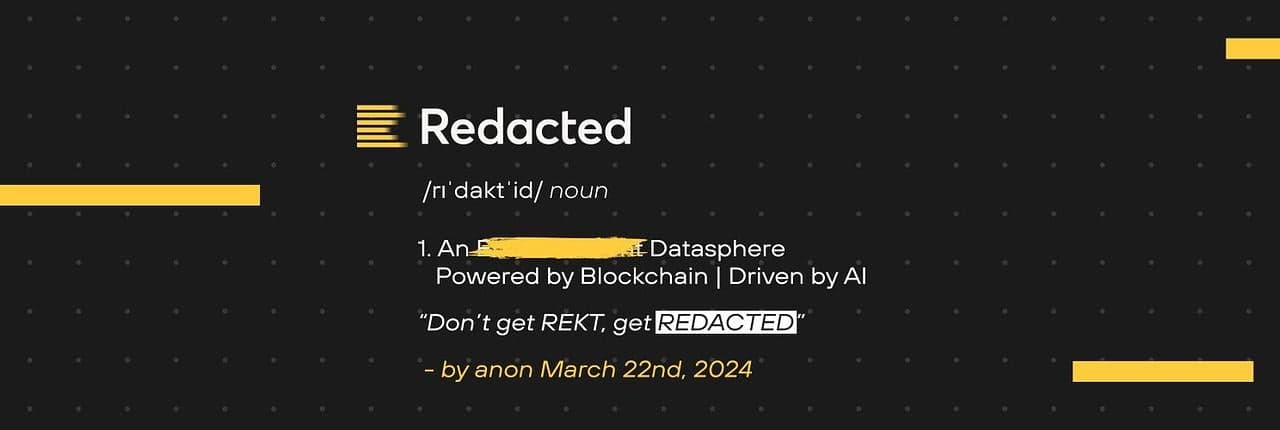 Redacted Coin Banner