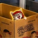 KITTY