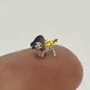 鼻噶小猫