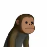 chimp