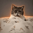 gooncat