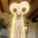 Ora