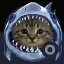 sharkcat