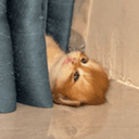 tired
