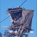 TREEHOUSE