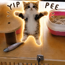 yippee