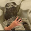 4Alien