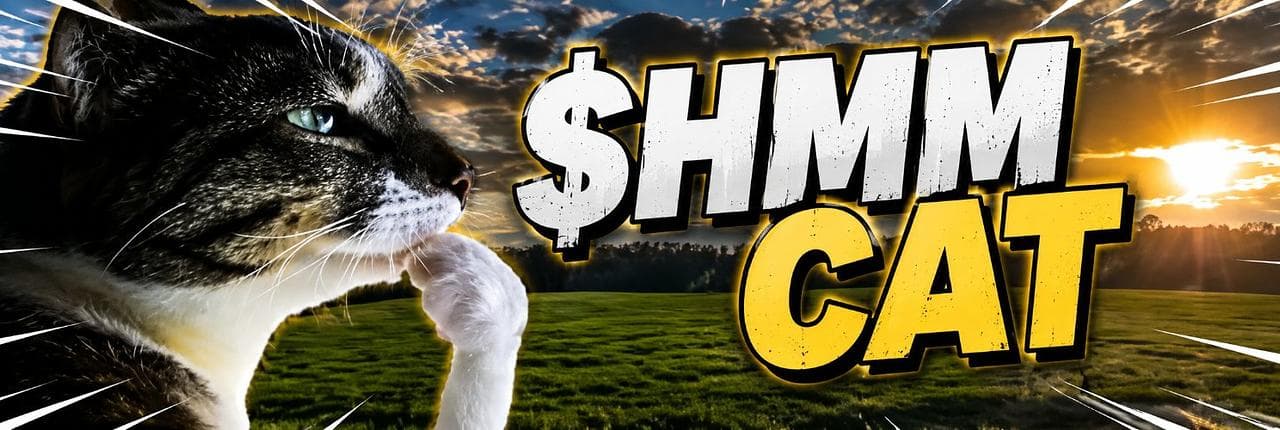 Thinking Cat Banner