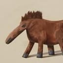 honse
