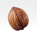 nuts