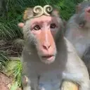 Wukong