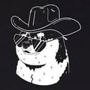 Rodeodoge
