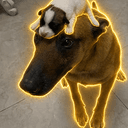 DuDog
