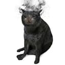 ASHCAT