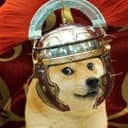 DOGEUS