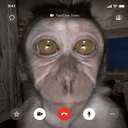 FACETIME