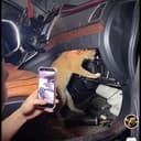Mecatnic