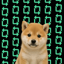 rDOG
