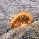 HYENA