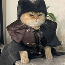 mehmed
