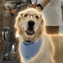 Vaderr