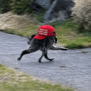 JIMOTHY