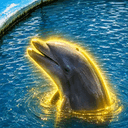 FLIPPER