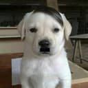 Hitler