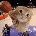 LeCat