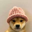 dogwif