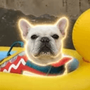 Dod