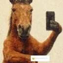 chillhorse