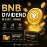BNB Dividend