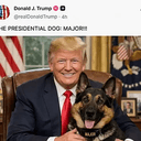 MAJOR