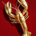 G/LOBSTER